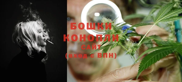 соль ск Вяземский