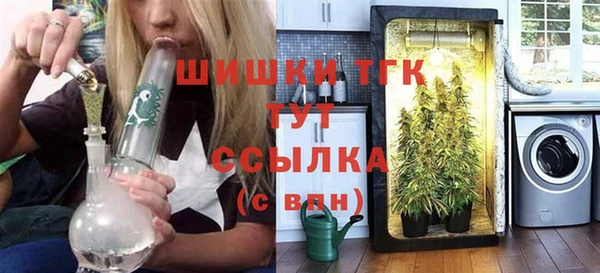 ешки Гусь-Хрустальный