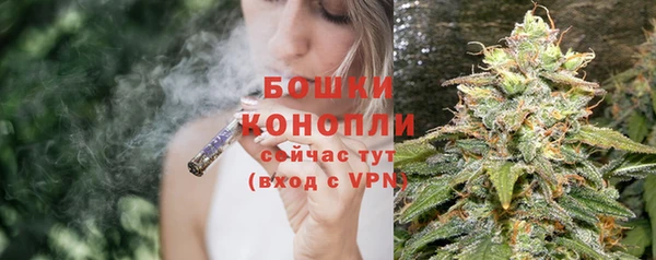 соль ск Вяземский