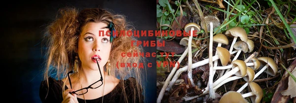 соль ск Вяземский