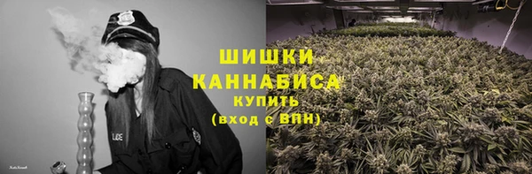 твердый Горняк