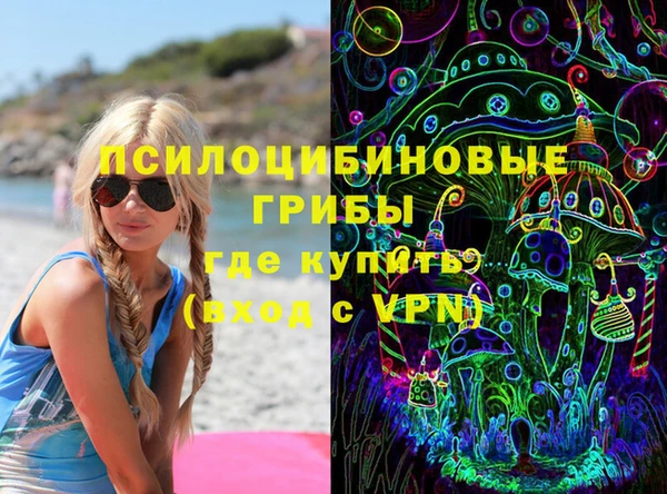 соль ск Вяземский