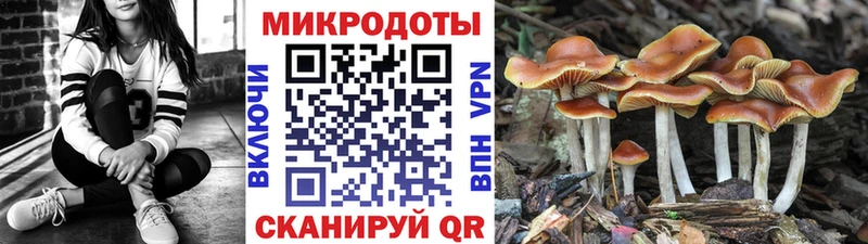 купить  цена  Донецк  Галлюциногенные грибы Psilocybe 